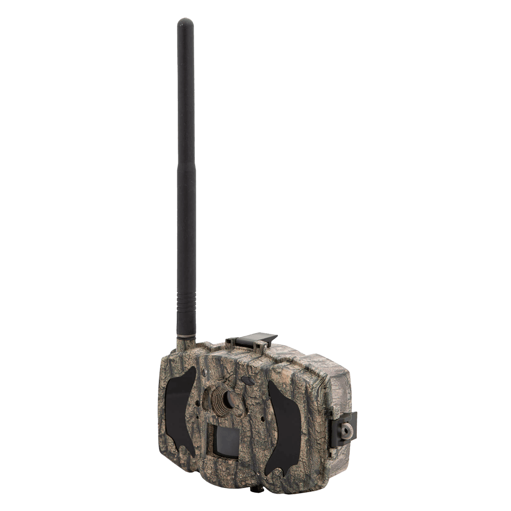 TRAILCAM-36M-4G - 5