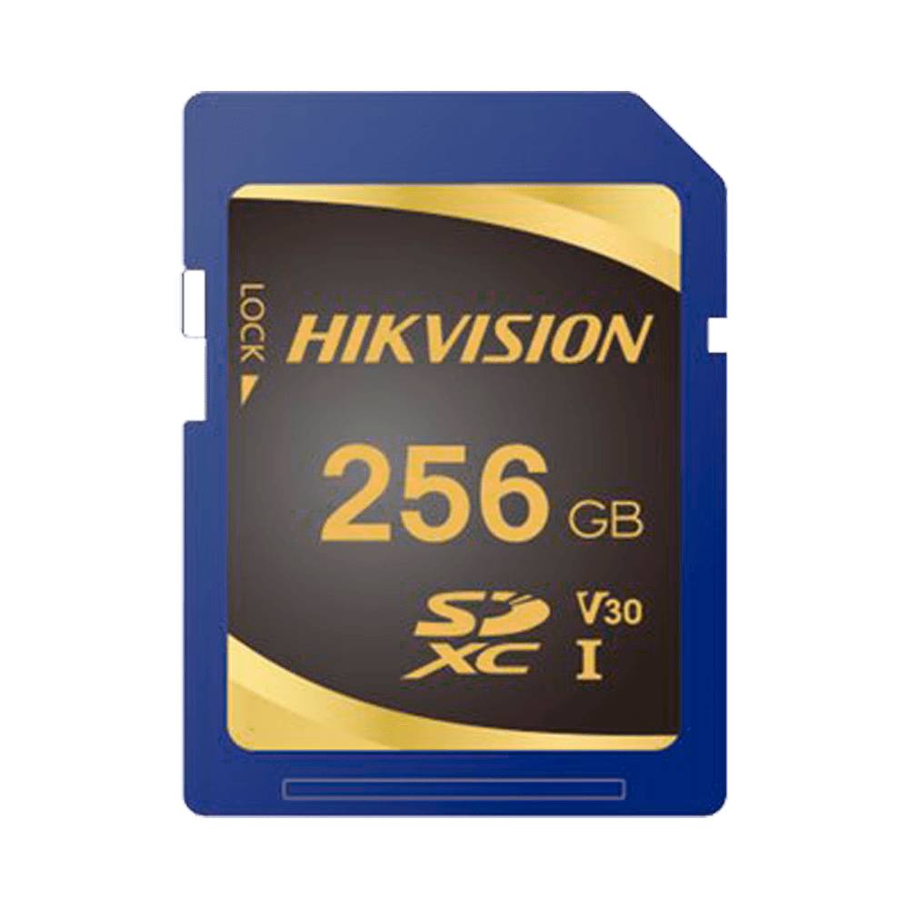 HS-SD-P10STD-256G