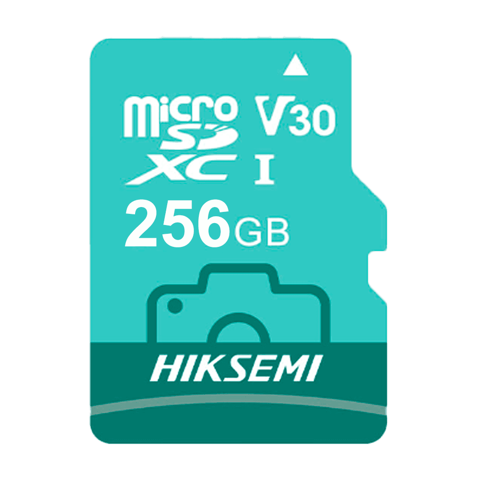 HS-TF-D3STD/256G/NEO LUX/WW